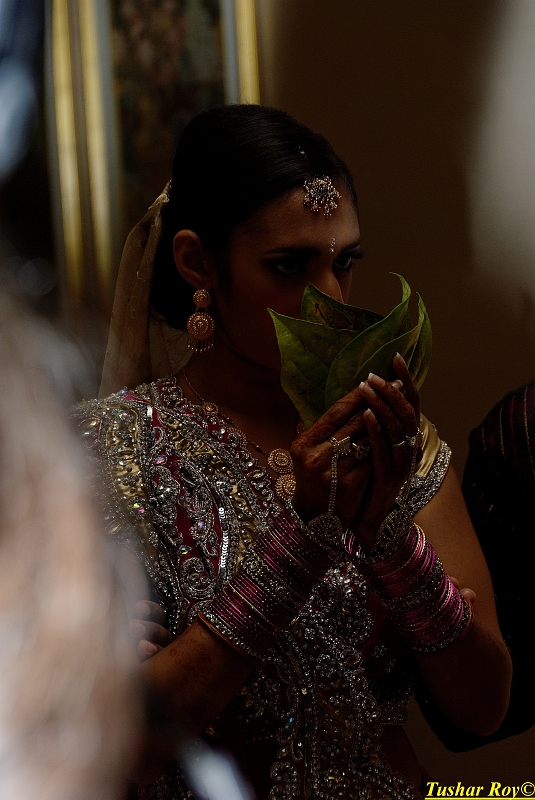PAYAL_WEDDING-tr Image_1023.jpg